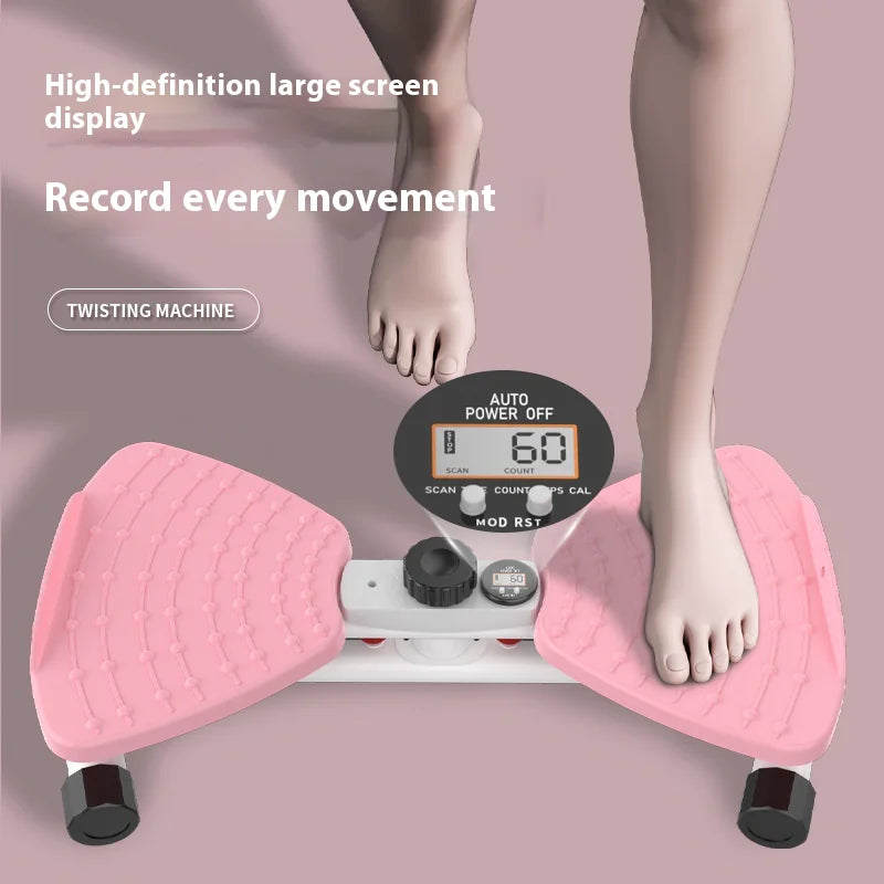 Silent Waist Twisting Fitness Machine