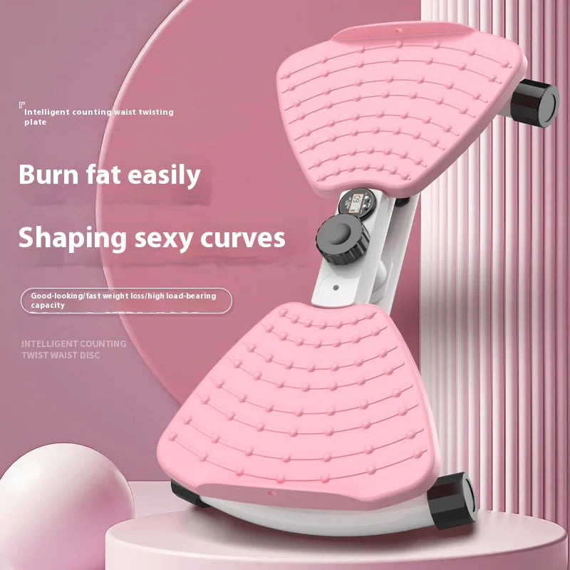 Silent Waist Twisting Fitness Machine
