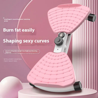 Silent Waist Twisting Fitness Machine