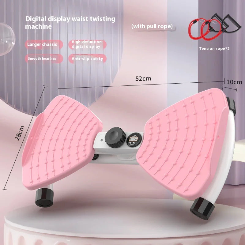 Silent Waist Twisting Fitness Machine