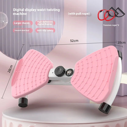 Silent Waist Twisting Fitness Machine